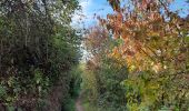 Trail Walking Giffaumont-Champaubert - Étang d'Outines - Photo 6
