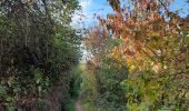 Tocht Stappen Giffaumont-Champaubert - Étang d'Outines - Photo 6