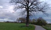 Percorso Marcia Arlon - Guirsch Arlon - Photo 1