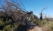 Tocht Stappen Sernhac - Serhnac tunnels crêtes  - Photo 11