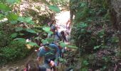 Trail Walking Ornans - Cascades de la Peusse, Baume Bourla - Photo 4