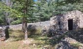 Excursión Senderismo Bédoin - Sur les traces du reboisement du Ventoux 1860 - Photo 3