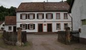 Tocht Te voet Bobenthal - Hirzeck-Gipfel-Steig - Photo 2