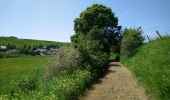 Excursión Senderismo Landeyrat - Cantal - Landeyrat - La Roche - 12km 180m 3h35 - 2019 06 28 - Photo 4