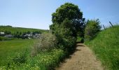 Randonnée Marche Landeyrat - Cantal - Landeyrat - La Roche - 12km 180m 3h35 - 2019 06 28 - Photo 4