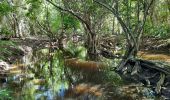 Tour Wandern Sainte-Anne - Quartier ferré vers Cap Chevalier avec modification du parcours en cas de problème à Anse aux bois !  - Photo 9