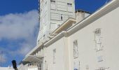 Trail Walking Bédoin - Mont ventoux  - Photo 3