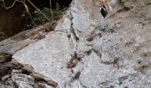 Percorso Marcia La Ciotat - la Ciotat grotte Fardeloup - Photo 18