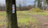 Tour Wandern Manhay - Harre, marche adeps 10 Km - Photo 1