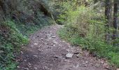 Trail Walking Ceyrat - GORGES DE CEYRAT EN BOUCLE PAR BERZET - Photo 7
