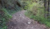 Randonnée Marche Ceyrat - GORGES DE CEYRAT EN BOUCLE PAR BERZET - Photo 7