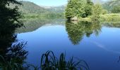 Excursión Senderismo Murol - lac chambon - Photo 5