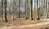Trail Walking Ottrott - la Rothlach la Serva - Photo 2