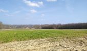 Tour Wandern Brakel - geutelingenpad - Photo 7