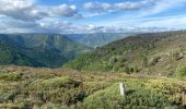 Trail Walking Pied-de-Borne - Le tour du chassezac - Photo 1