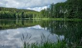 Tour Zu Fuß Ronsperg - NS Těžba živců na Poběžovicku - Photo 3