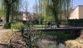Tocht Te voet Thionville - En suivant le ruisseau Metzange de Volkrange au Parc Napoléon. - Photo 2