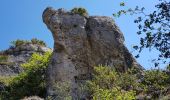 Tour Nordic Walking Nant - Canoles du Larzac - Photo 10