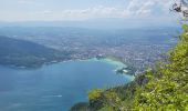 Tocht Stappen Annecy - 260523 Monr Veyrier - Photo 6