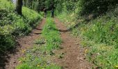 Trail Walking Florenville - fontenoille  - Photo 15