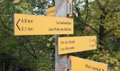 Excursión Senderismo Beaumont-du-Ventoux - le mont serein par le pré saint Michel et la bergerie Wilfrid - Photo 1