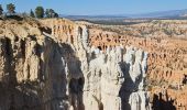 Percorso Marcia Unknown - 2024 Bryce Canyon Rim Trail - Photo 10