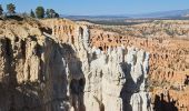 Tocht Stappen Unknown - 2024 Bryce Canyon Rim Trail - Photo 10