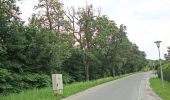 Tocht Te voet Krottendorf-Gaisfeld - Wanderweg 20 - Photo 2