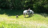 Trail Horseback riding Buriville - randonnée Marion 2 buriville étang de mondon  - Photo 6
