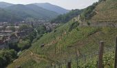 Excursión Senderismo Thann - 27-05-23 Thann, vignoble du Rangen - Photo 3