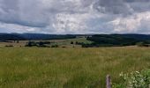 Tour Wandern Hohenfels - Houffalize 270622 - Photo 12