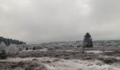 Tocht Stappen Malmedy - hommage à ma mère  - Photo 15