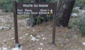 Percorso Marcia Tolone - Boucle des deux forts du Faron - Photo 6