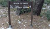 Trail Walking Toulon - Boucle des deux forts du Faron - Photo 6