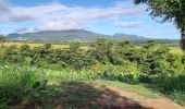 Tour Wandern Le Lorrain - Boucle Dorival, Crabière, Bon Repos, Man Ti-Fre, Savon - Photo 20