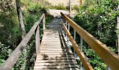 Tour Wandern Weismes - La Cascade du Bayehon   - Photo 5