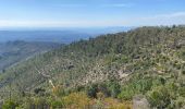 Tocht Mountainbike Les Adrets-de-l'Estérel - Esterel 8 : Fait 2022 les Adrets Fréjus st Raphaël Agay et retour - Photo 2