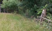 Trail Walking Ciney - Chevetogne 280622 - Photo 15