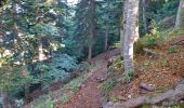 Randonnée Marche Die - Le Glandasse - Col des Bachassons par Valcroissant - Photo 2