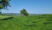 Randonnée Marche Plombières - hombourg - Photo 5