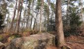 Tour Wandern Marchin - Bois de Marchin - Photo 2