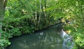Trail Walking Villechauve - Villechauve 41310 - Photo 4