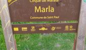 Trail Walking Salazie - Tour du Piton des Neiges par le petit GRR1 / J1 - Photo 13