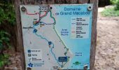 Trail Walking Le Marin - Grand Macabou - Boucle des Mornes - Photo 3