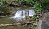 Trail Walking Menétrux-en-Joux - cascades du hérisson- Menetrux en Joux - Photo 15