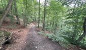 Tour Wandern Namen - La Plante Citadelle Namur 16,3 km - Photo 3