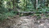 Tocht Stappen Annecy - A la découverte des Chalets de Barbenoire - Photo 11