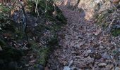 Trail Walking Esneux - balade V&V 1 - Photo 17