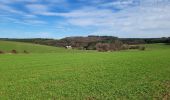 Trail Walking Bertrix - Auby sur Semois 140324 - Photo 18