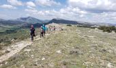 Excursión Senderismo Caussols - CAUSSOLS-Les plateaux de Calern et de Caussols-MBO - Photo 10